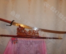 ղؼ絶Ƿ