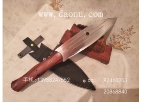 ͺӥ Condor 浶Ƶ